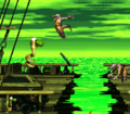 Donkey Kong Country 2: Diddy's Kong Quest