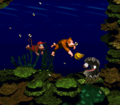 Donkey Kong Country