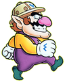 Wario Land: Super Mario Land 3