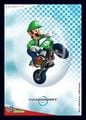 Mario Kart Wii