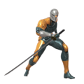 Gray Fox