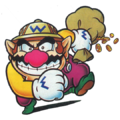 Wario Land: Super Mario Land 3