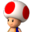 Toad