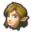 Link (Champion's Tunic)