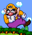 Wario's Woods (SNES)