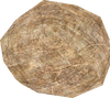 Model of a boulder from The Subspace Emissary in Super Smash Bros. Brawl. The internal name for it is "Rock"