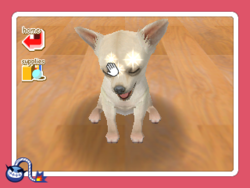 WWG Nintendogs.png