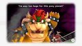 Super Bowser