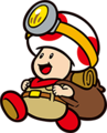 Captain Toad: Treasure Tracker (Nintendo Switch / Nintendo 3DS)