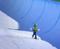 Mario & Sonic at the Olympic Winter Games (Wii)