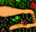 Donkey Kong Country (Game Boy Color)