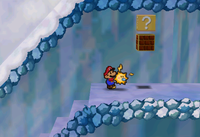 The hidden blocks containing an Ultra Shroom in Shiver Mountain and outside Peach's Castle