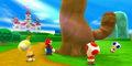 Super Mario 3D Land