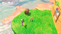 SMO Seaside Moon 49.png