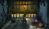 The Dungeon Cells in Treacherous Mansion