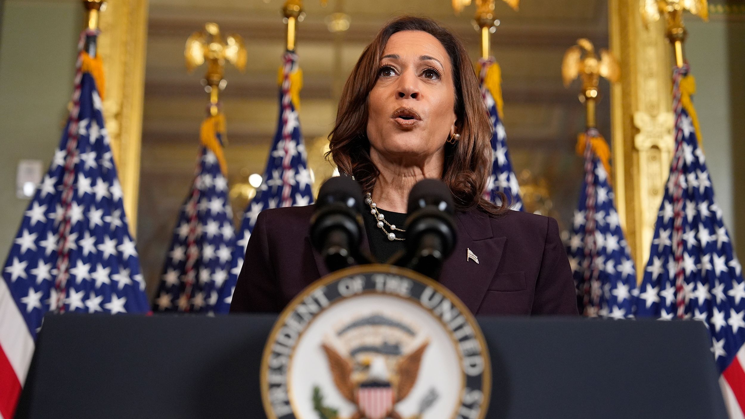 Vice President Kamala Harris speaks following a meeting with Israeli Prime Minister Benjamin Netanyahu at the Eisenhower Executive Office Building in Washington, July 25, 2024.