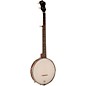 Recording King RKO-3S Open-Back Banjo