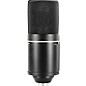 MXL 770 Condenser Microphone