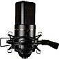 MXL 770 Condenser Microphone