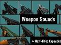 Weapon Sounds for Expanded Arsenal