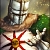 Solaire