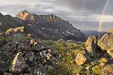 A rugged peak, yellow flowers, and a rainbow all in beautiful evening light.