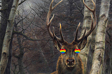 They Called Me Deer In School. Well, Deer Can Also Be Gay