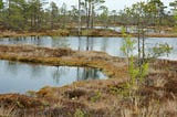 Did We Once Worship Wetlands?