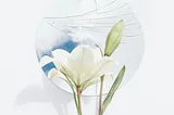 White lilies in front of a cracked round mirror.