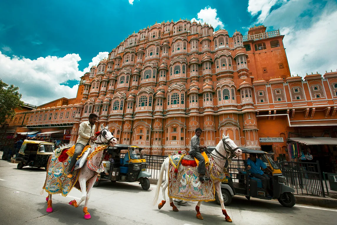 India is beautiful. Camels in front of temple.