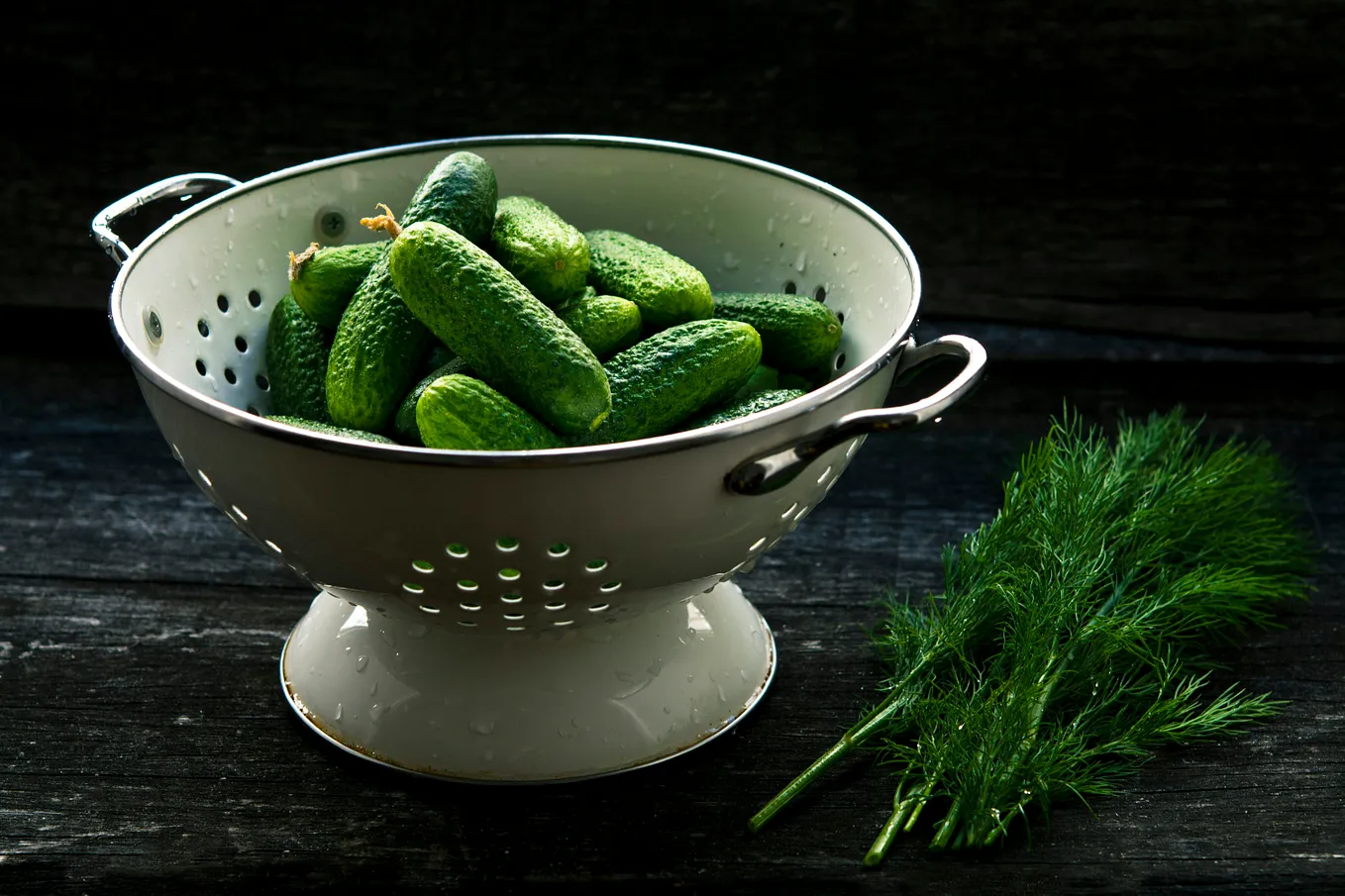 A metal colander on a black surface with a black background. Inside, a pile of small, bright green cucumbers, next to it, a dark green bunch of fennel.