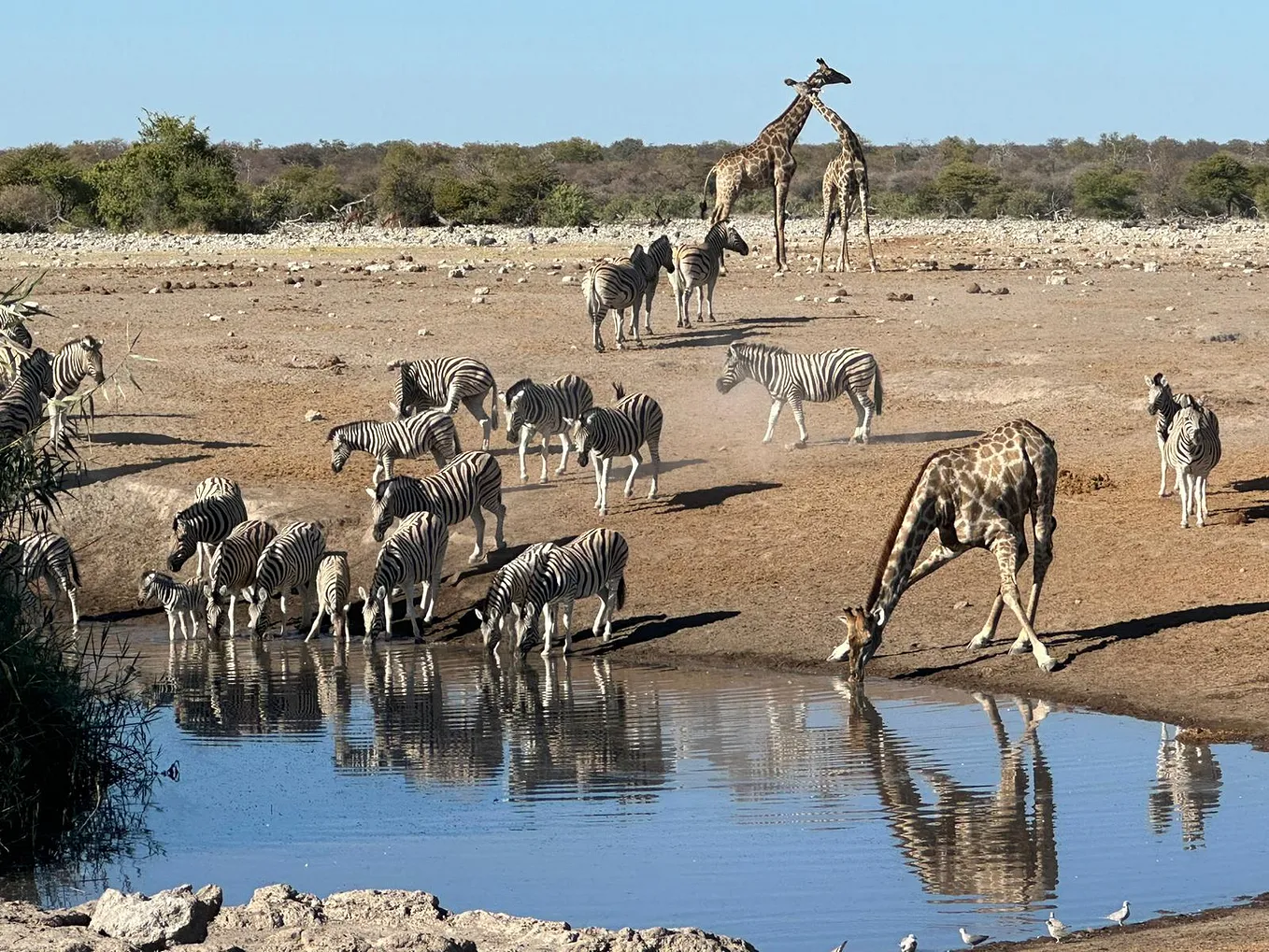 Discovering Namibia: A Journey Through Timeless Landscapes and Rich Culture