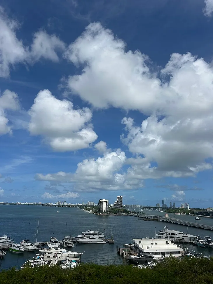 Solo & Sober: 36 Hours in Miami’s Edgewater