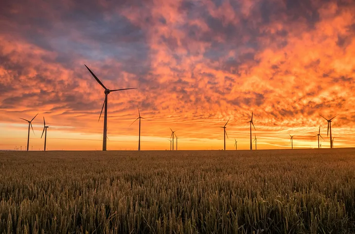 wind turbines in a field, in front of a setting sun