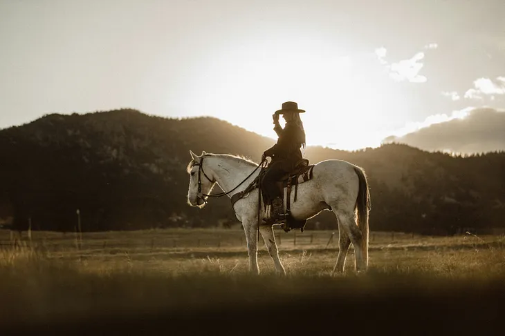 A horse and its rider just chilling as the sunsets