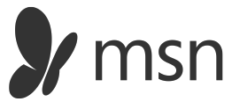 Msn logo