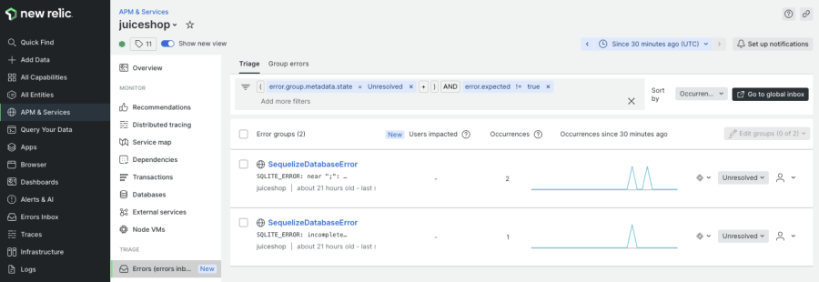 Showing the SequelizeDatabaseError in New Relic