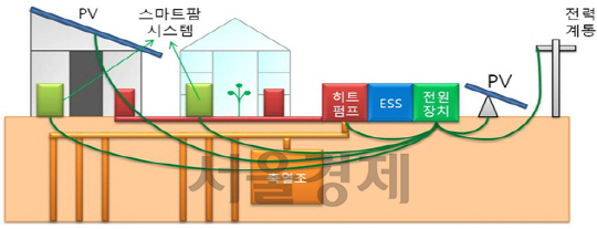 한전의 에이스팜 실증연구 개념도.