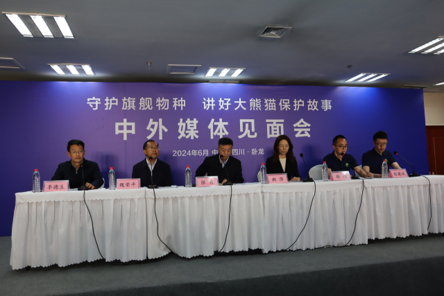 중국 판다보호연구센터 관계자와 사육사들이 11일 쓰촨 워룽 선수핑기지에서 기자간담회를 하고 있다. 사진=김광수특파원