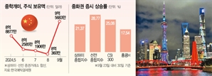 중학개미가 돌아왔다…주식보관액 2000억 '올해 최고'