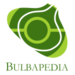 Bulbapedia