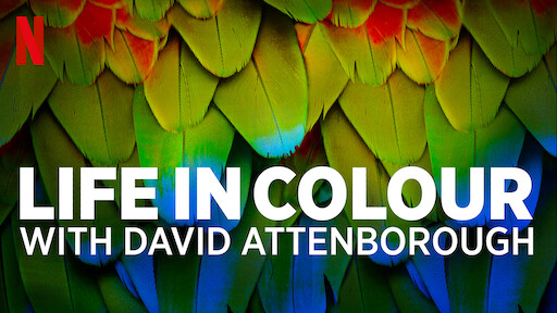 Life in Colour with David Attenborough