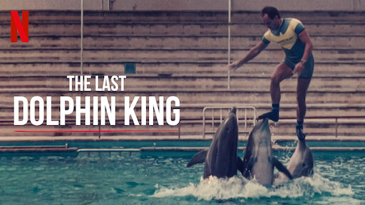 The Last Dolphin King