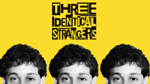 Three Identical Strangers