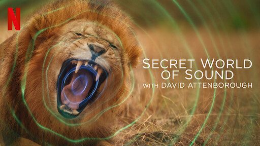 Secret World of Sound with David Attenborough