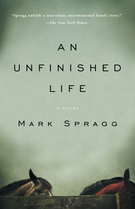 An Unfinished Life