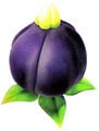 Artwork of the Violet Candypop Bud.