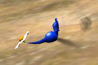 A Blue Pikmin tripping.