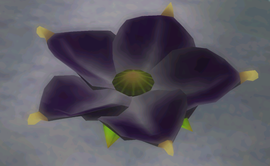 Screenshot of a Violet Candypop Bud.