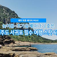 본문 사진